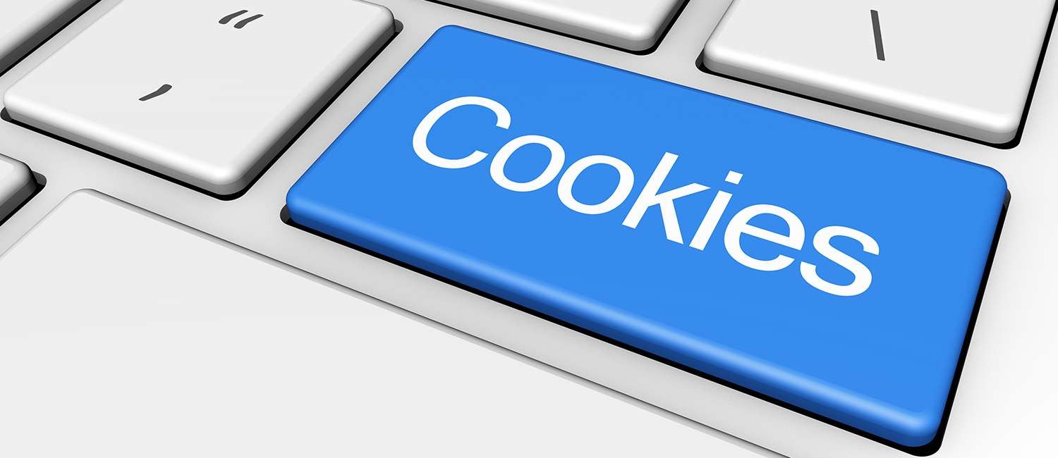 WEBSITE COOKIE POLICY FOR LA PLAYA INN